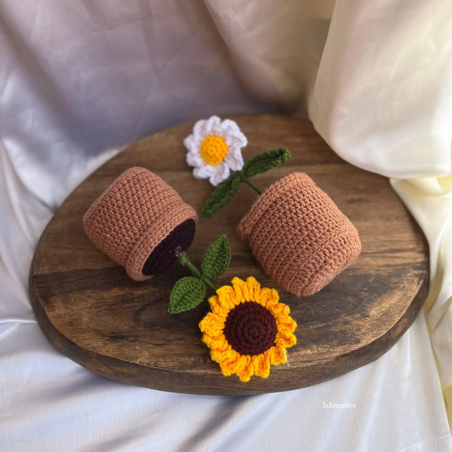 Daisy-sunflower pot combo