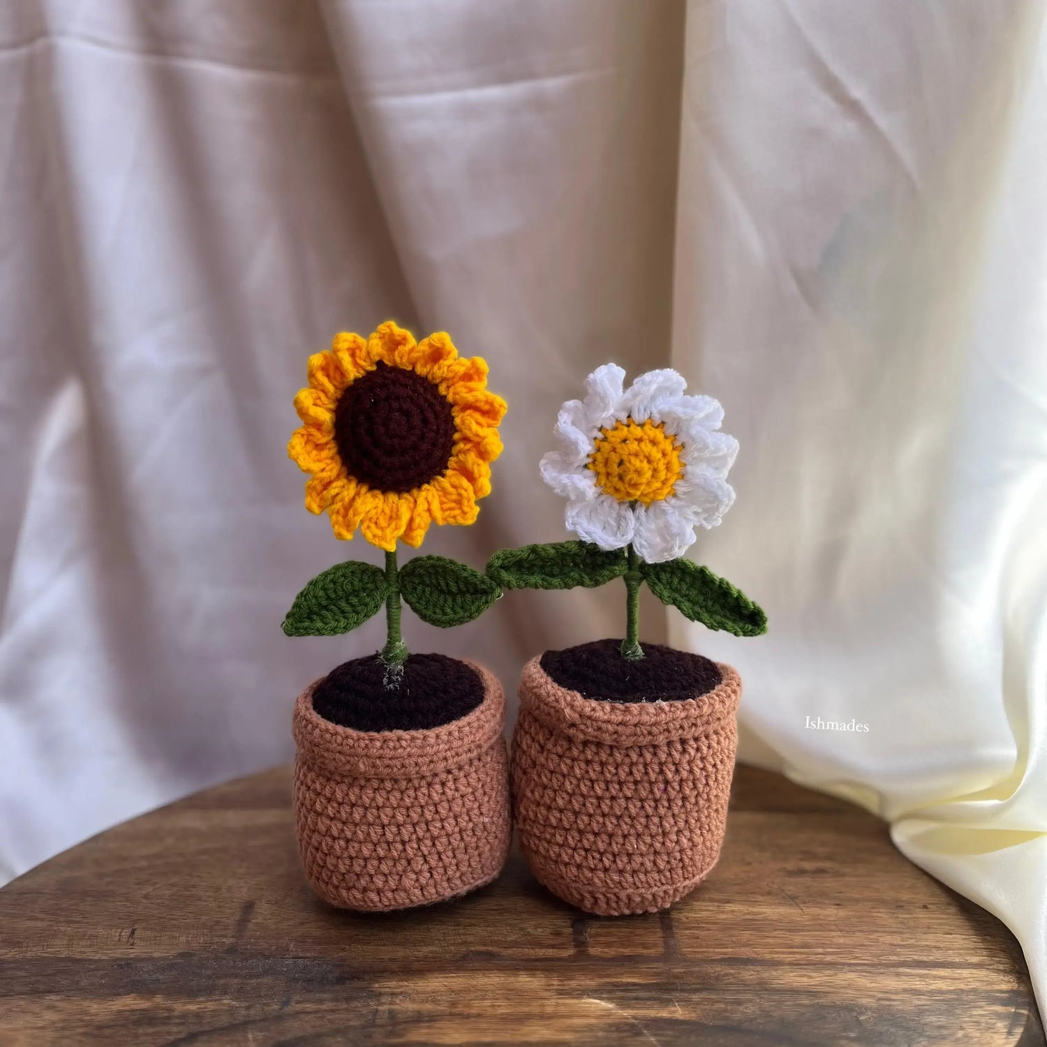 Daisy-sunflower pot combo
