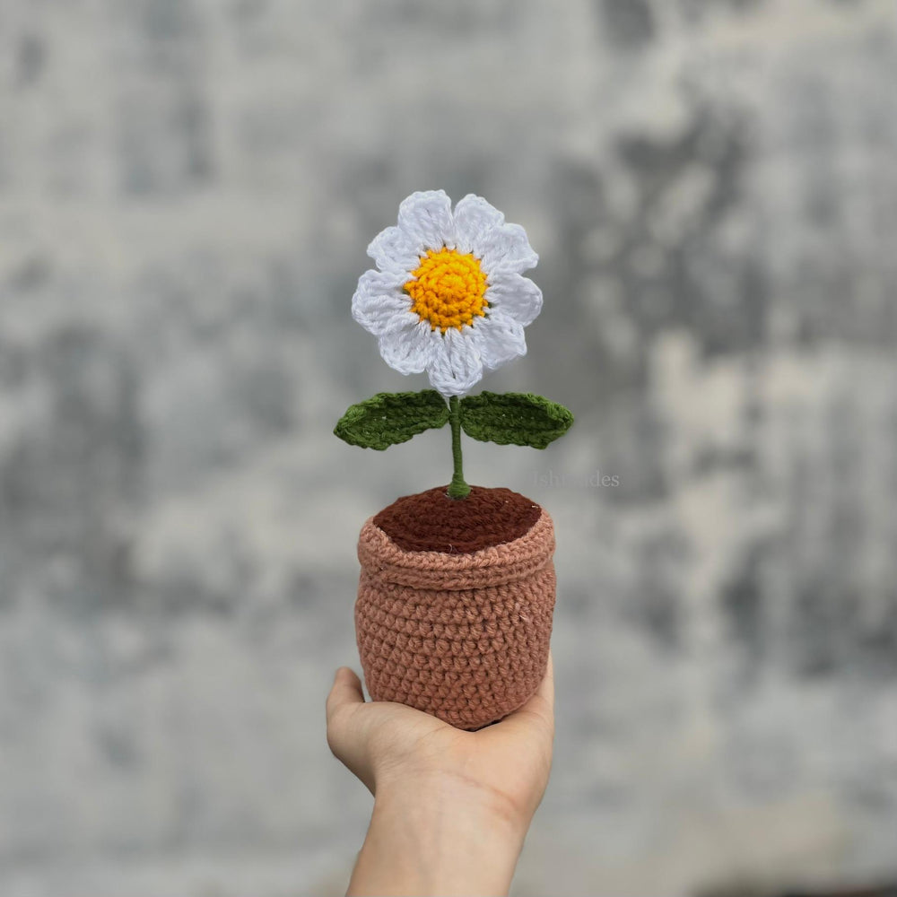 Crochet daisy pot