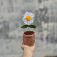 Crochet daisy pot