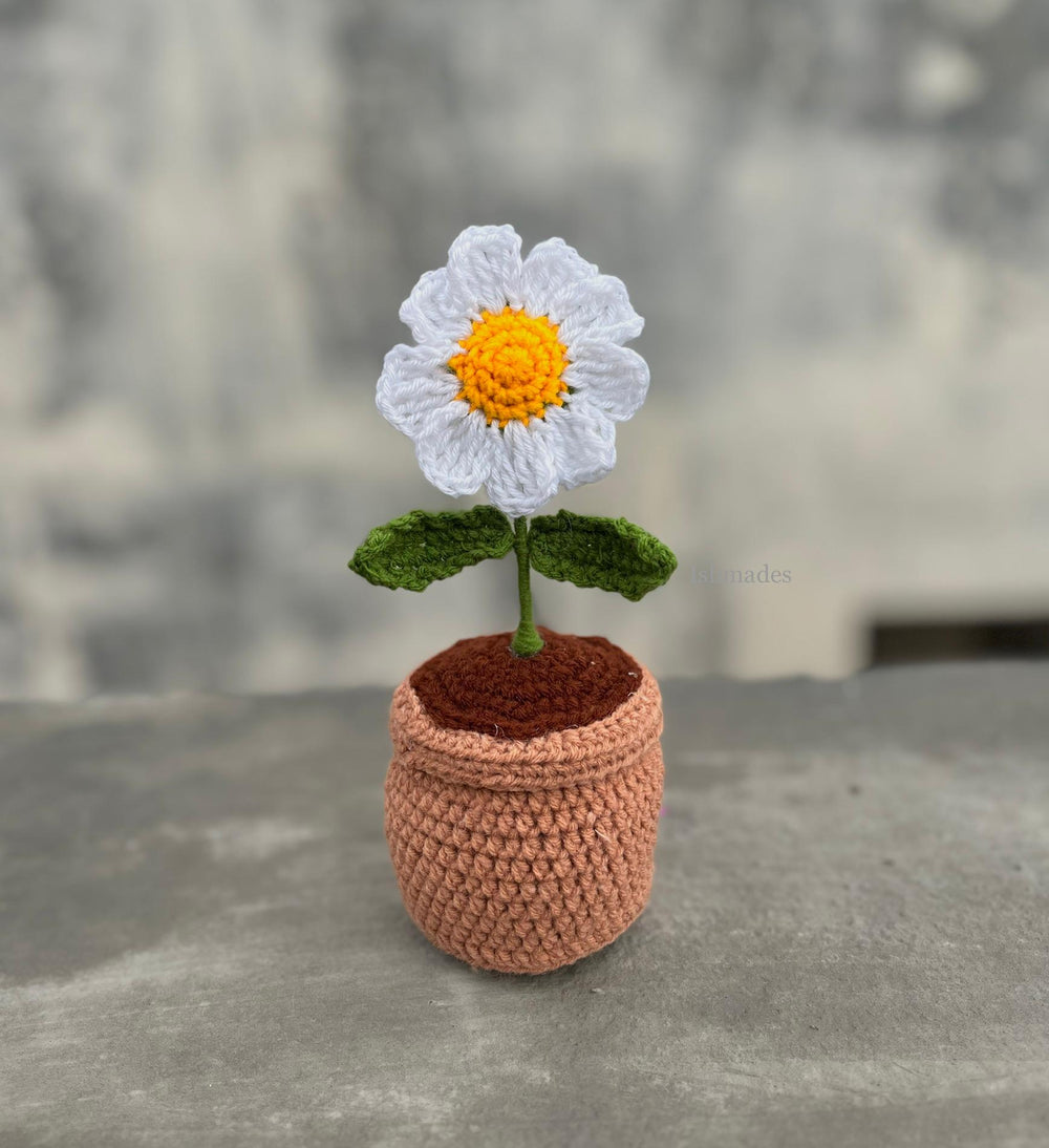 Crochet daisy pot