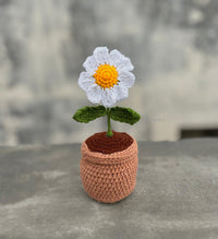 Crochet daisy pot