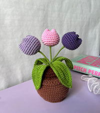 Crochet mix tulip pot