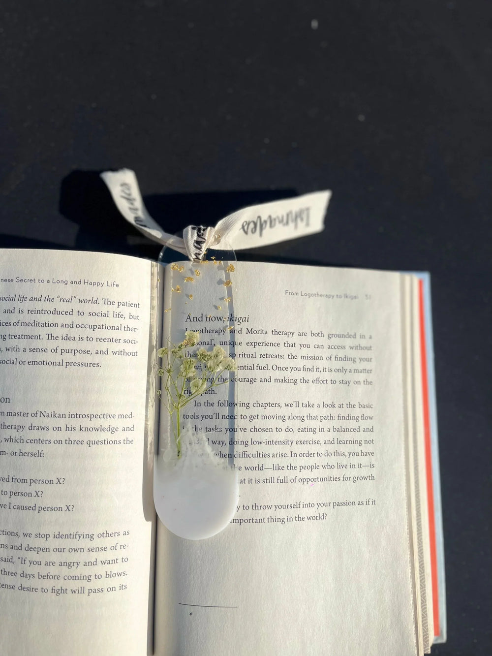 Pressed floral bookmark with ribbon on open book in sunlight