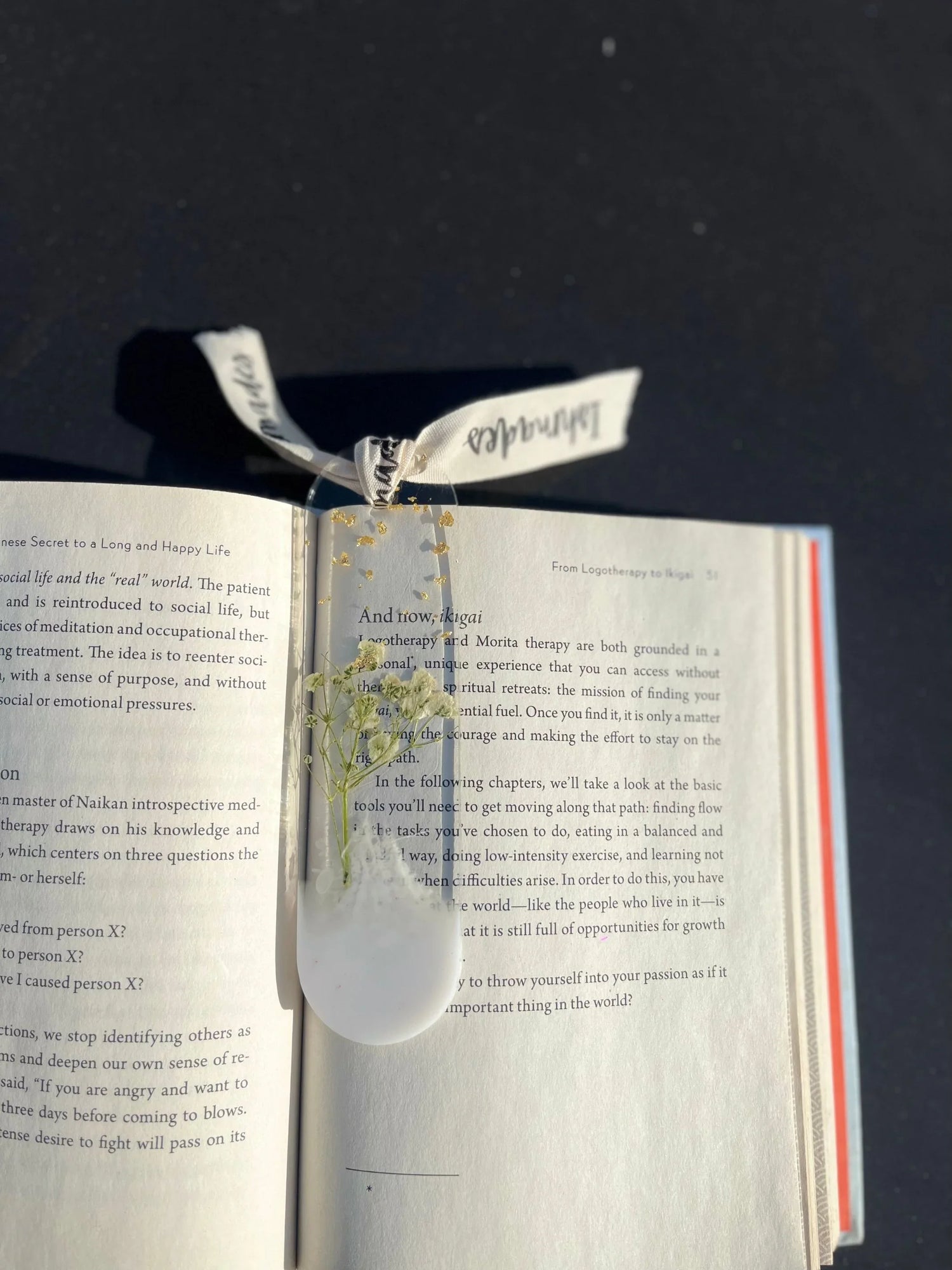Pressed floral bookmark with ribbon on open book in sunlight