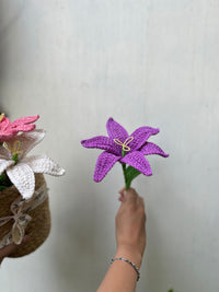 Ishmades crochet lily