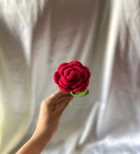 Red rose stick (1)